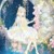 星辰公主