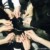 TF家族