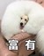 乐