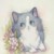 阿猫1
