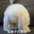 神秘人