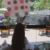 婷宜