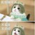 卖医保的艾米丽
