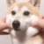 读者