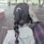林雨