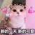 万能角色