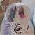 爸