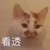 龍?zhí)坐?/>
                                <p>龍?zhí)坐?/p>
                            </a>
                        <a href=