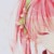 櫻花音
