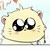 猫咪
