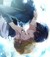 无同