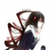 蜘蛛