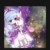 芬妮