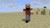 notch