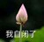 龙套