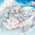 雪柠
