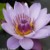 杰森