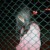 女二閨蜜
