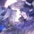 作者（秣君笙）