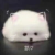 作者大大