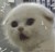 龙套