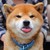 客串