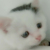 作者