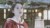 舒靖容