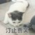 作者大大
