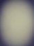 舒言