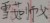 唐雪茹師父