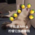 灰常正常的旁白君