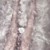 同學(xué)a