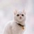 @名字不重要的无名氏