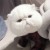 译妈