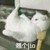 范妈