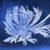 霜花