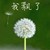 其他一些宗主