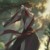 魏无羡
