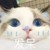 可爱作者