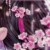 同學A