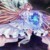 星月（星公主）