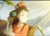 钟无艳老师
