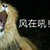 同學(xué)跑龍?zhí)?/>
                                <p>同學(xué)跑龍?zhí)?/p>
                            </a>
                        </div>
                    <a href=