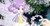 紫藤花精灵王