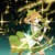 葉星瀾