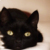 黑猫