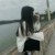 同学