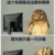 船