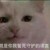 爱吃肉肉的少女